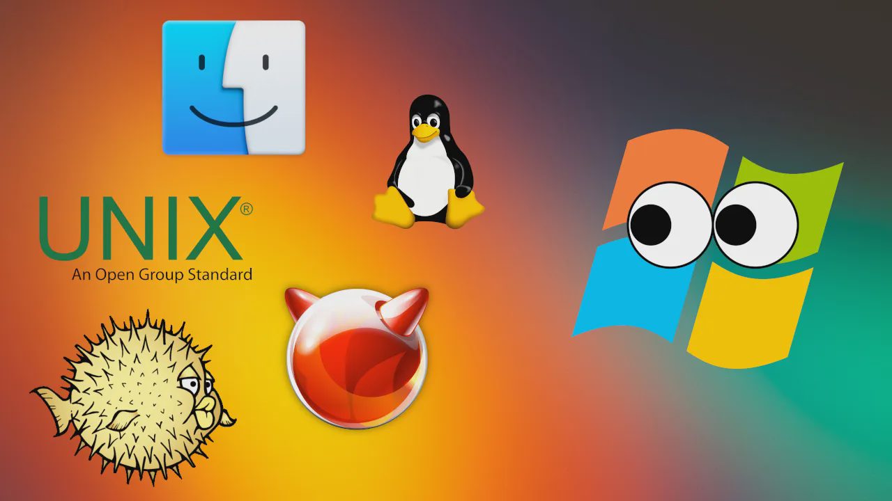 Why POSIX Systems Are a Developer’s Best Friend
